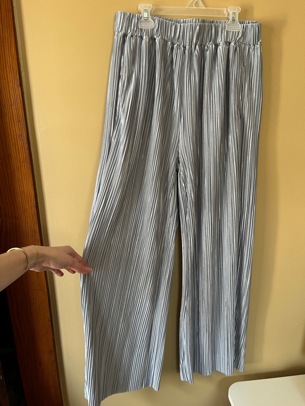 Wide-Leg Pleated Pants in Light Silver Gray
